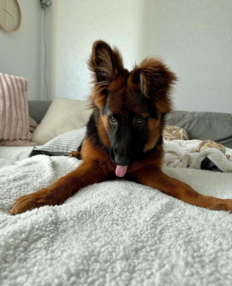 This is Snooki. She thought she had to sneeze for a second. 12/10