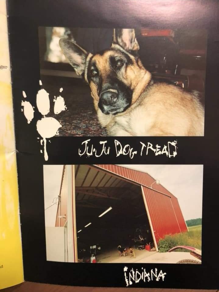 "Eu tenho um pastor alemão e o tenho desde que ele era um cachorrinho. Eu o comprei quando ele era apenas um idiota. Ele tem três anos, é saudável, é grande e pode correr 40 milhas por hora e ele é ótimo. O amor torna a vida muito mais fácil." — Izzy Stradlin sobre seu cachorro.