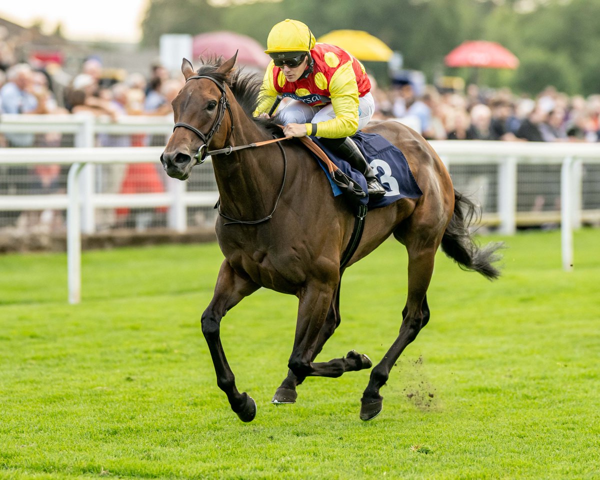 <a href="/oismurphy/">Oisín Murphy</a> <a href="/MarcoBotti/">Marco Botti Racing</a> <a href="/rhannonracing/">Richard Hannon</a> <a href="/Fitzdares/">FITZDARES</a> <a href="/Finleymarsh123/">Finley Marsh</a> <a href="/MickApplebyUK/">Mick Appleby Racing</a> Race 6 Result: The British Stallion Studs <a href="/BritishEBF/">British EBF</a> Fillies' Handicap Stakes

🏆 Warren Hill

Jockey: <a href="/Aidankeeley25/">Aidan Keeley</a>  
Trainer: <a href="/varianstable/">Roger Varian</a> 
Owner: Crager, Hassiakos, Moorhead, Collins &amp; PTR