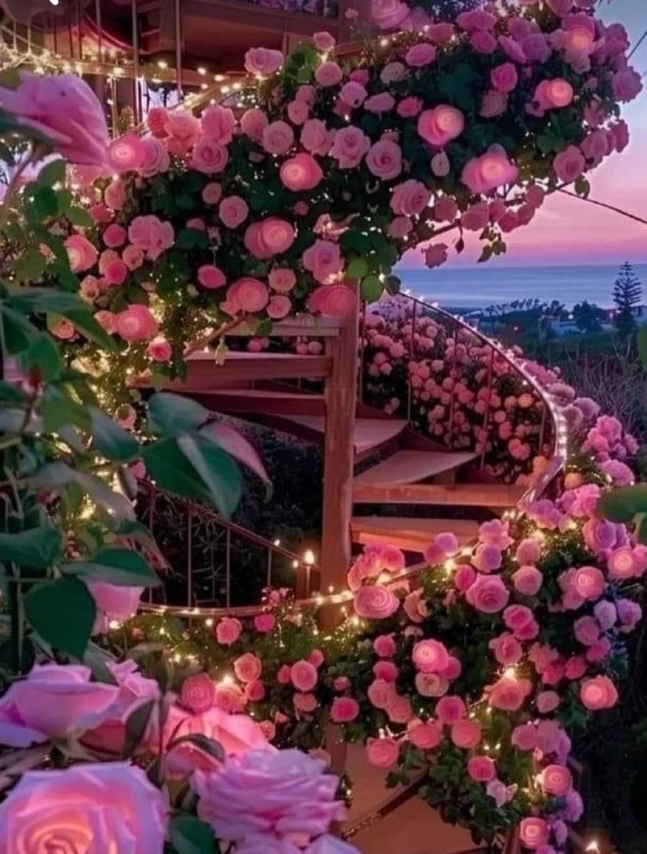 Where you let your touch
Freely roam and
Guided my hands to where
They should be
Your portal is always activated
My honey I fully understand
I’m your true love
Considering
You always bite me or nibble me
Merry day in the morning
And the night routine

After your hard