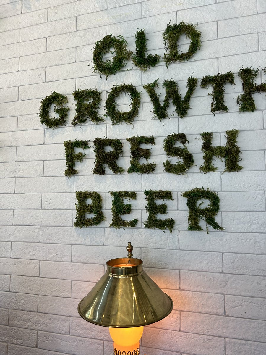 Jason Halbauer tweet media