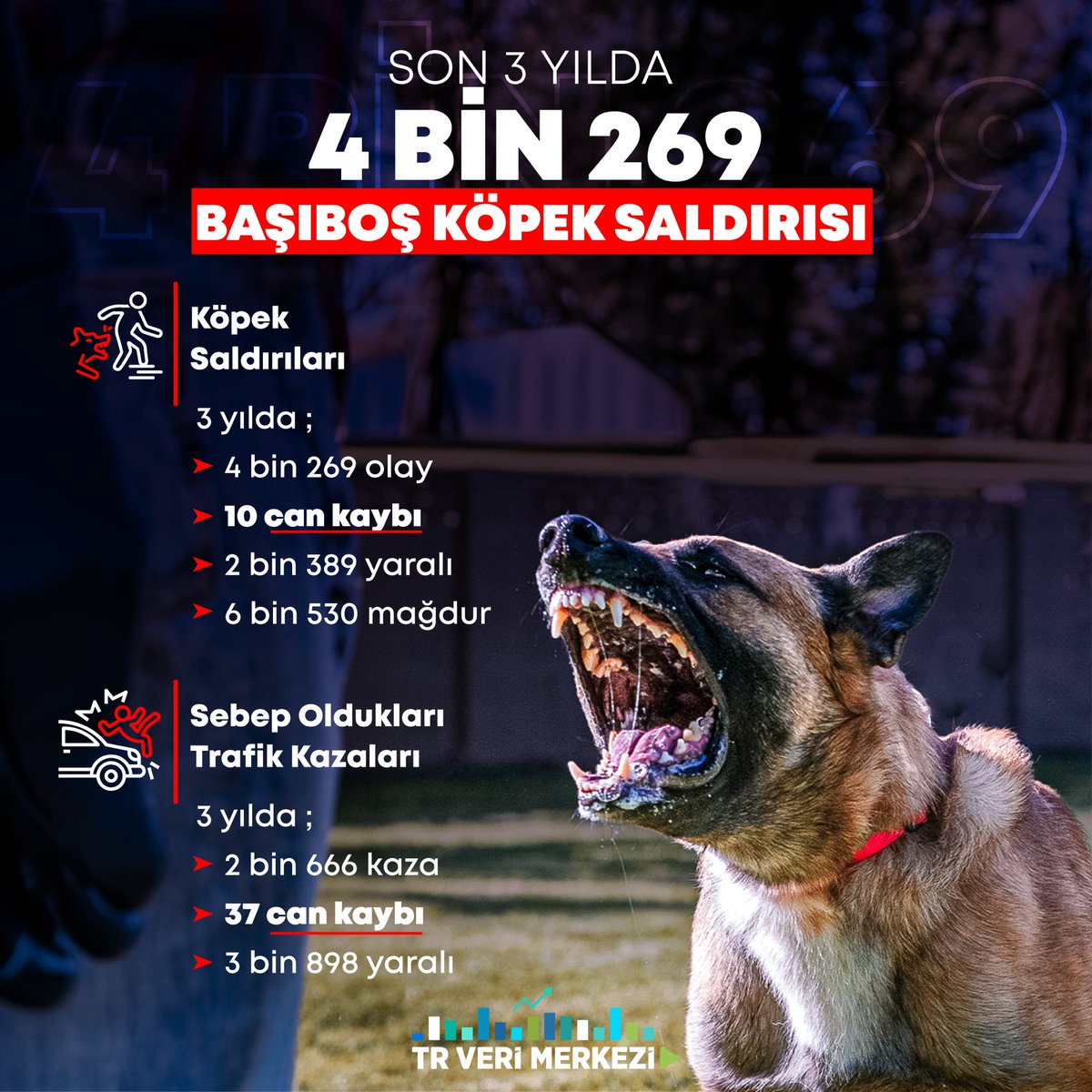 Son 3 yıldaki başıboş köpek saldırıları