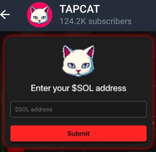 124.2k Subscriber in Telegram in 14 days.
To proceed with the $TAPCAT farming:

• Go to t.me/app_tap_cat_bo…
• Open the link in Telegram and click "Start"
• Click "Play" and go through the splash screen

TapCat has its own Telegram community, where we can earn extra points