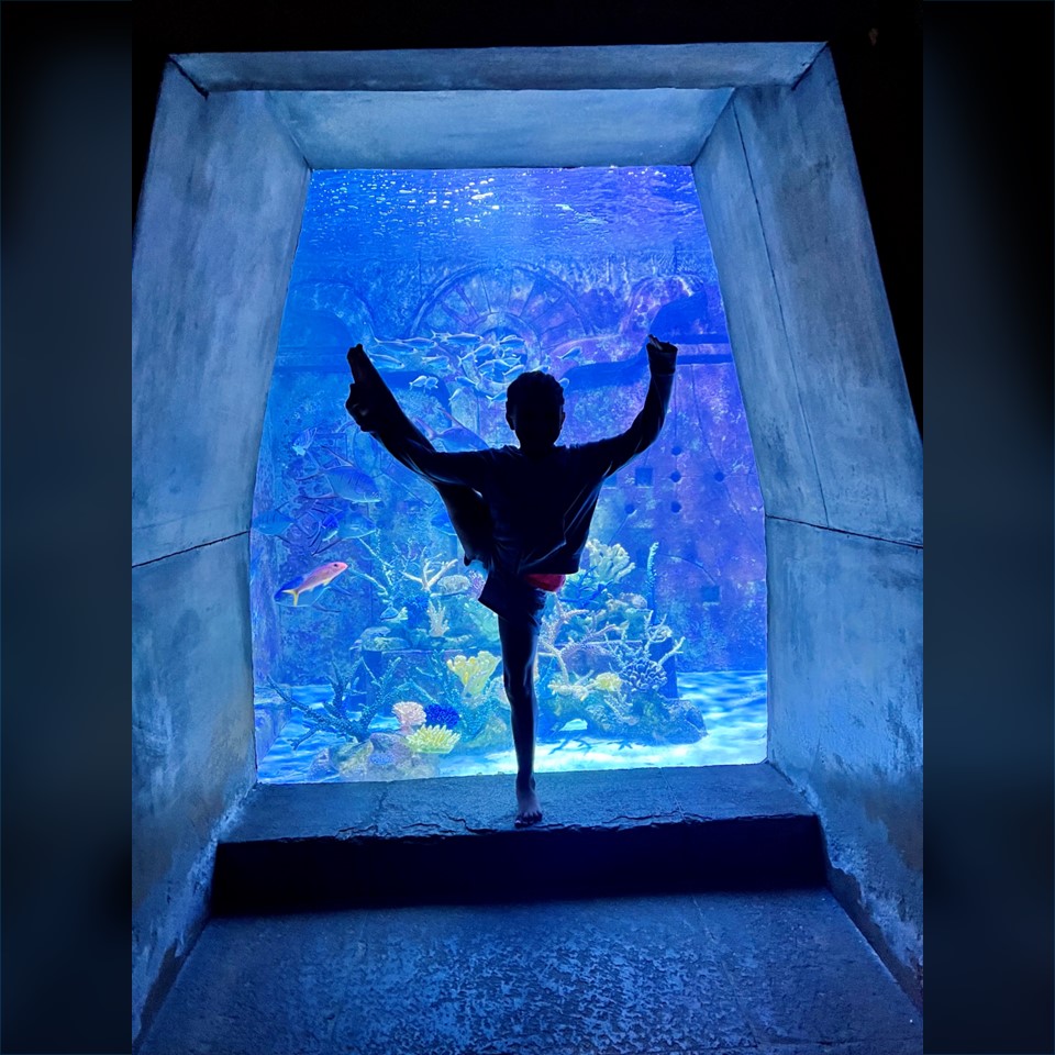 Bio-Rad Laboratories tweet media