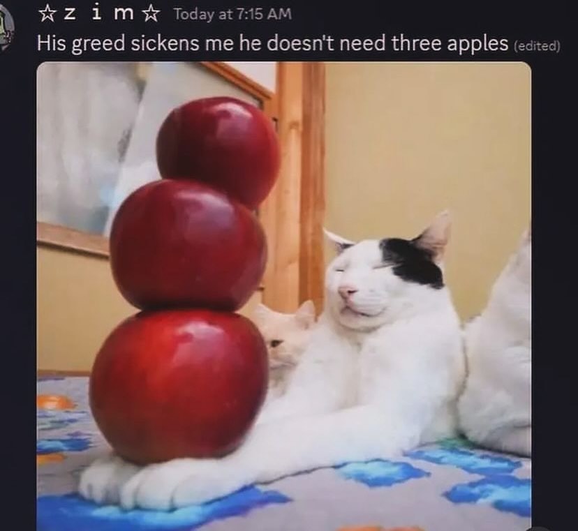 PunchingCat's tweet photo. https://t.co/wyx0IvX5Mc