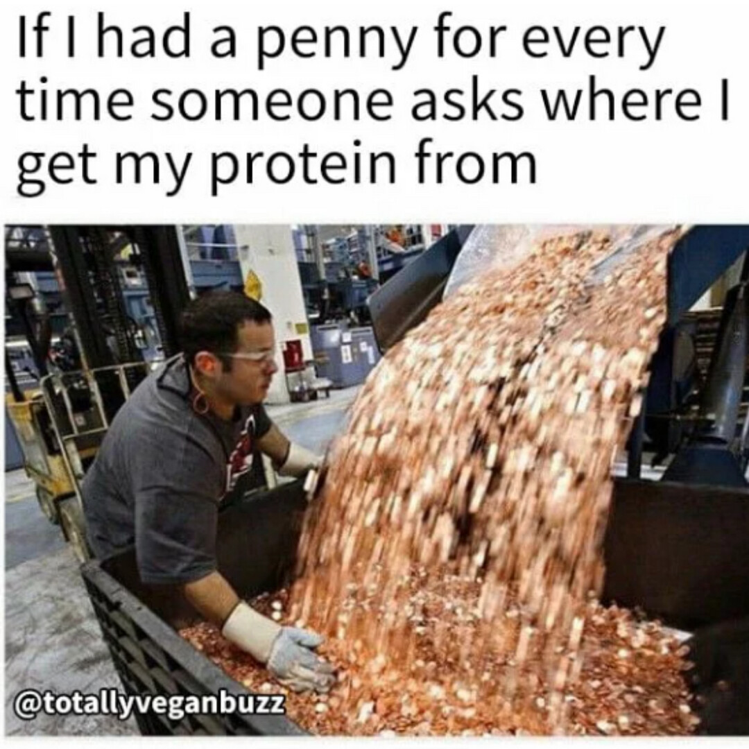 Who else is tired of this question? 🤔
#Didyouknow vegan protein is great for non-vegans too? Our protein not only taste 👍 but also provides all the benefits without the protein bloat—no whey involved! 🌱💪vegansupplementstore.co.uk/collections/ve…

#VeganProtein #Veganmeme
Credit @totallyveganco