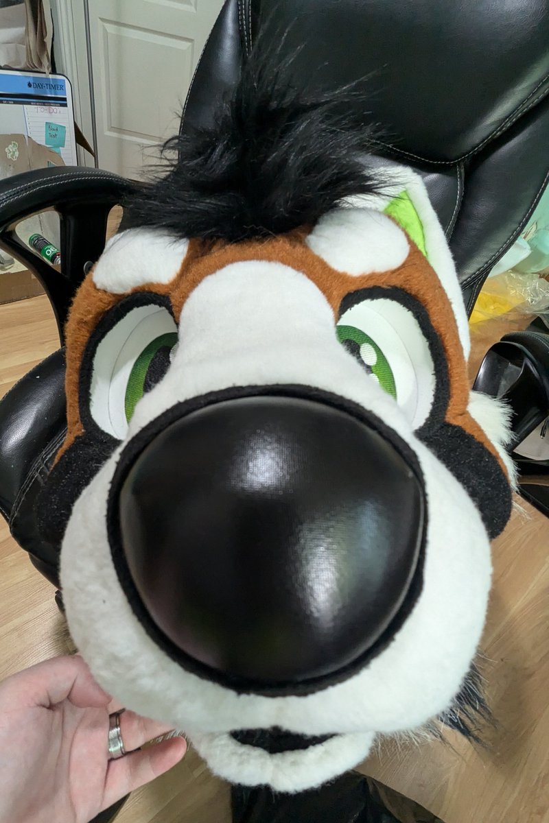 COLORCARNAGE's tweet photo. 30 minutes later we have a brand new schnoz to schniff you with 👃

Also this head is ~13 years old &amp; besides old fabric drying out with age, is still very much a solid build! @MulticolorBark has been bringing quality suits to the fandom for longer than most know! https://t.co/vIpI3RcVAq