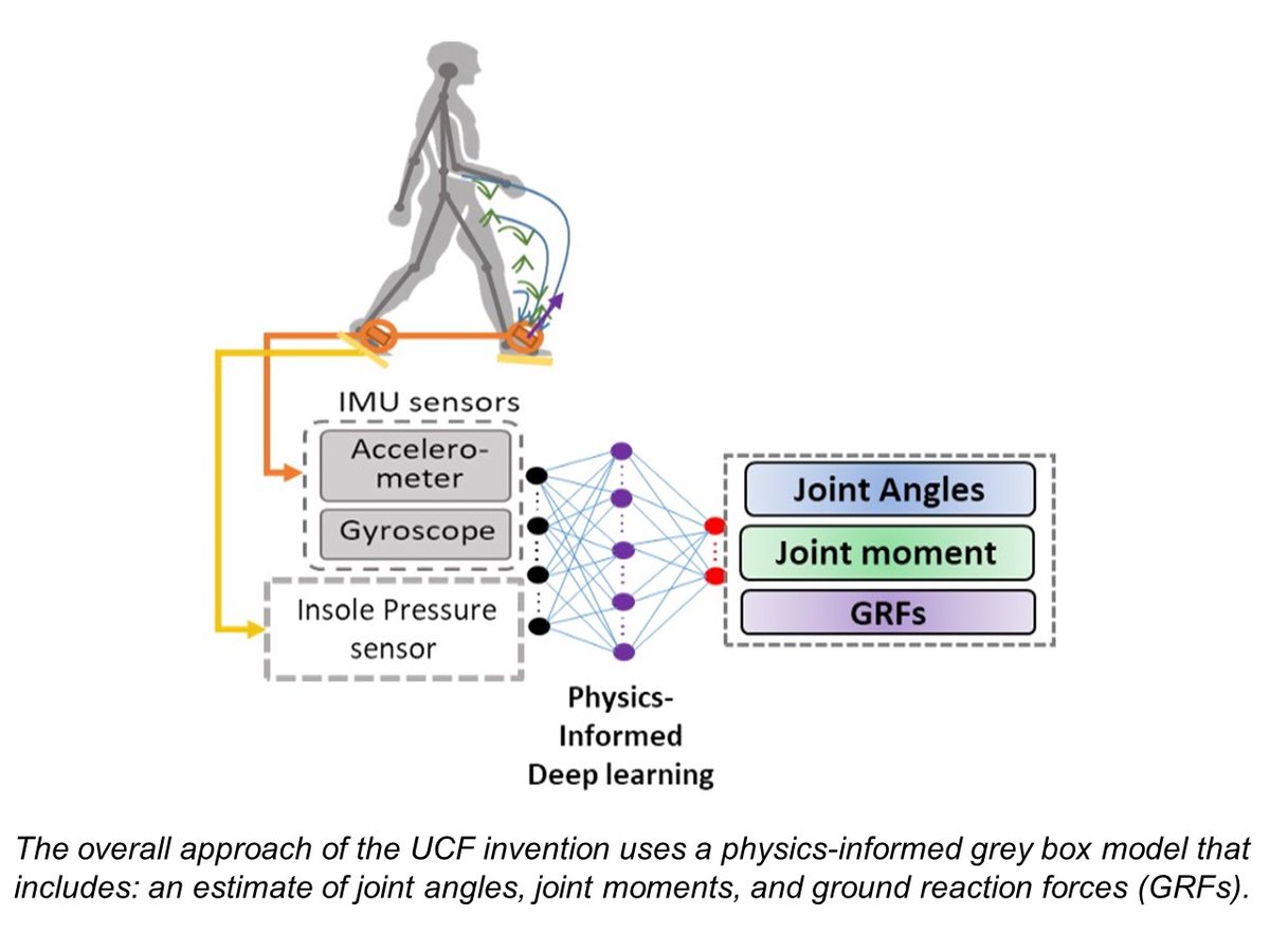 UCFTecTransfer's tweet photo. A Smart Shoe for AI-Based Gait Analysis
https://t.co/7m1saZCU92 https://t.co/jiWjZ5VI1p