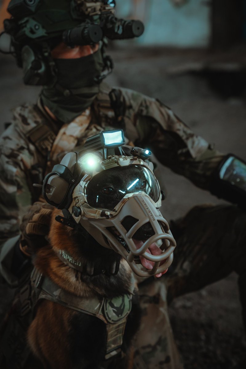 darksystemsnews's tweet photo. #k9helmet #k9unit #k9 #swat #army #police https://t.co/deYClRWJMC