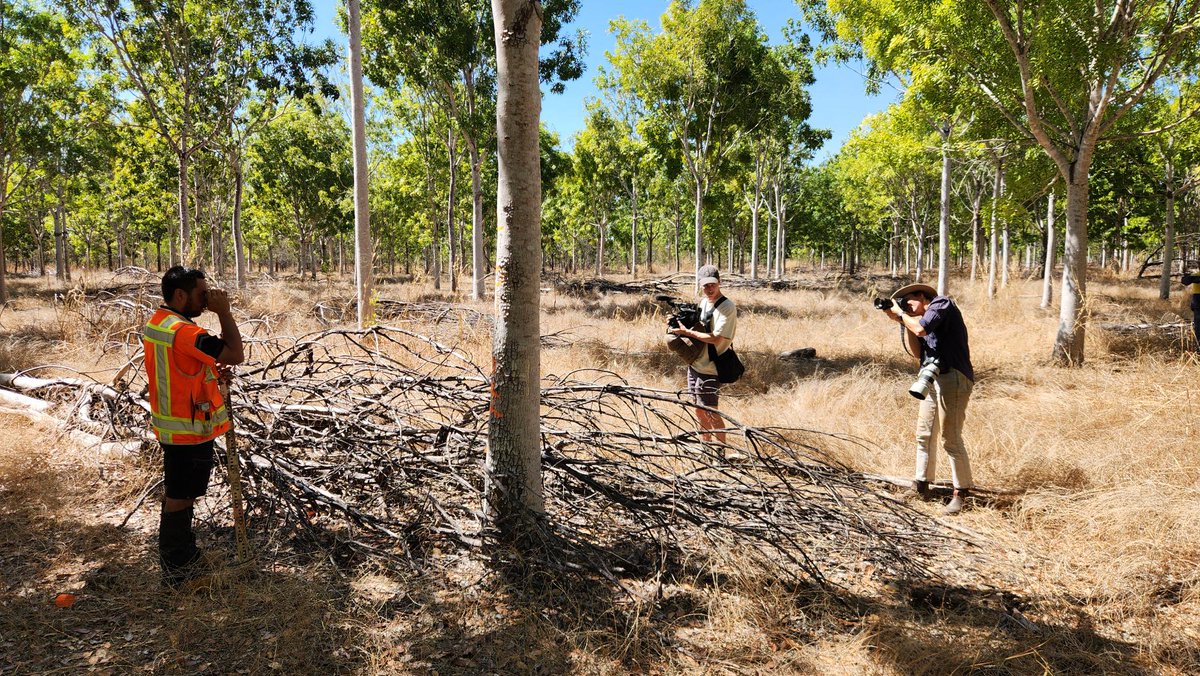 interpine_nz's tweet photo. Our team was filmed by a local film crew yesterday conducting #LiDAR-enhanced #forestinventory surveys in the Northern Territory. We use aerial LiDAR #ALS and ground data to calculate forest yield tables with #AI.
#LiDAR #EFI #ABA #SingleTree #ForestInventory https://t.co/GZfB9S31On