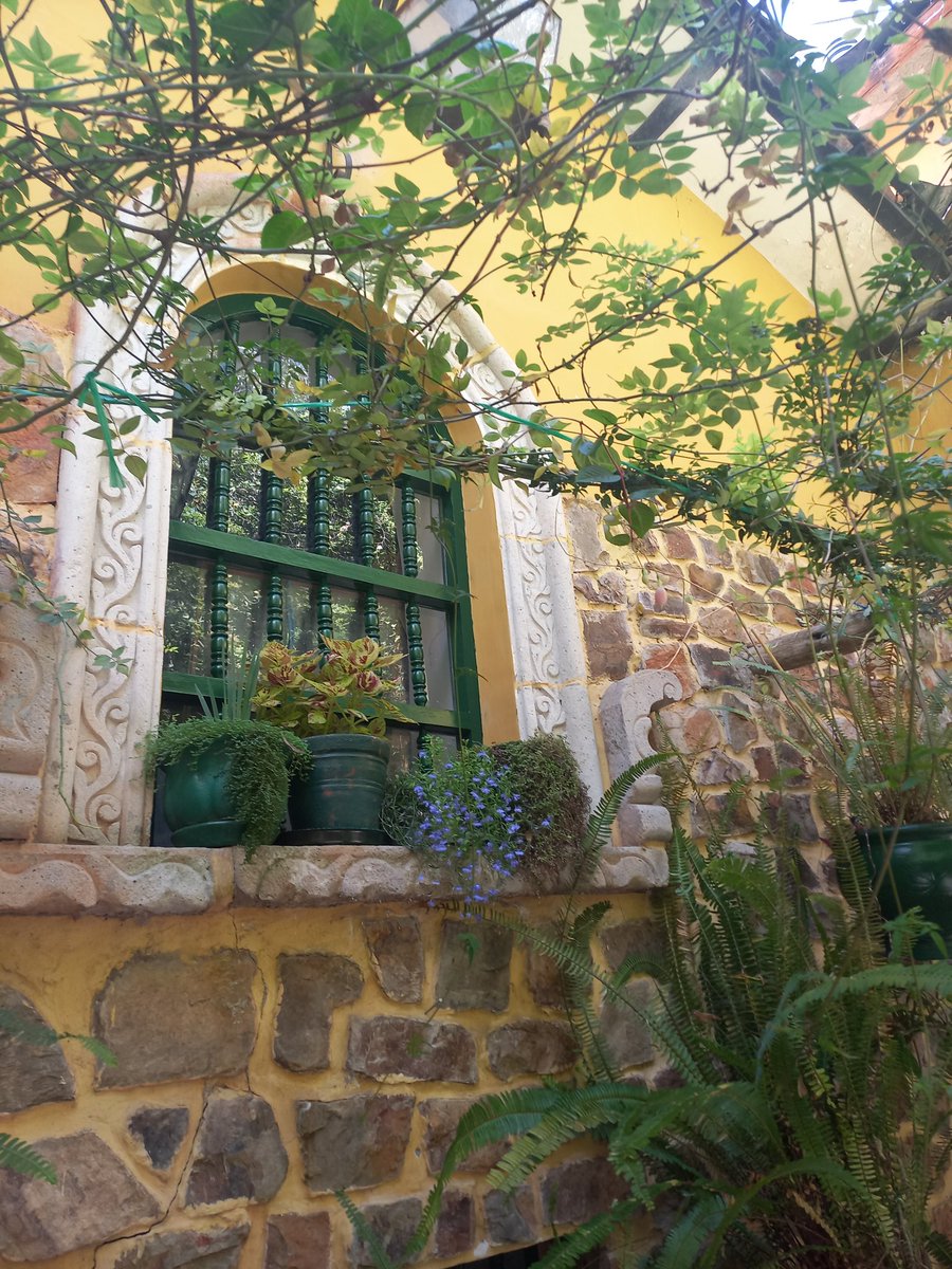 corazondcapuli's tweet photo. Dar rt si es posible:

Hoy encontré una joya preciosa en la parte alta de la ciudad de Cajamarca,  una casa museo privada, muy poco conocida y apreciada ,que tiene como único apoyo el del propietario+ https://t.co/hmuldlUu2s