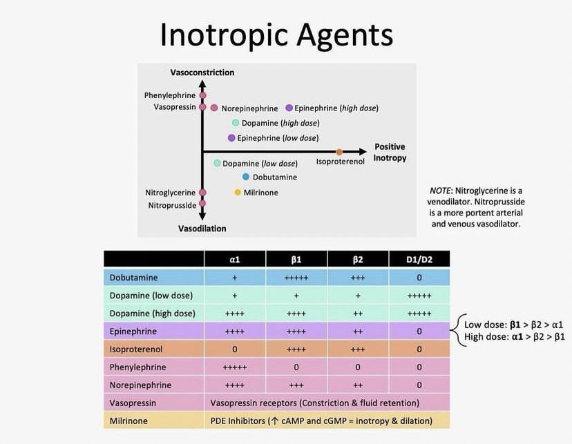 Ph_LamaAlghamdi's tweet photo. Inotropic Agents 🫀💊 https://t.co/7T0z2xkqsC