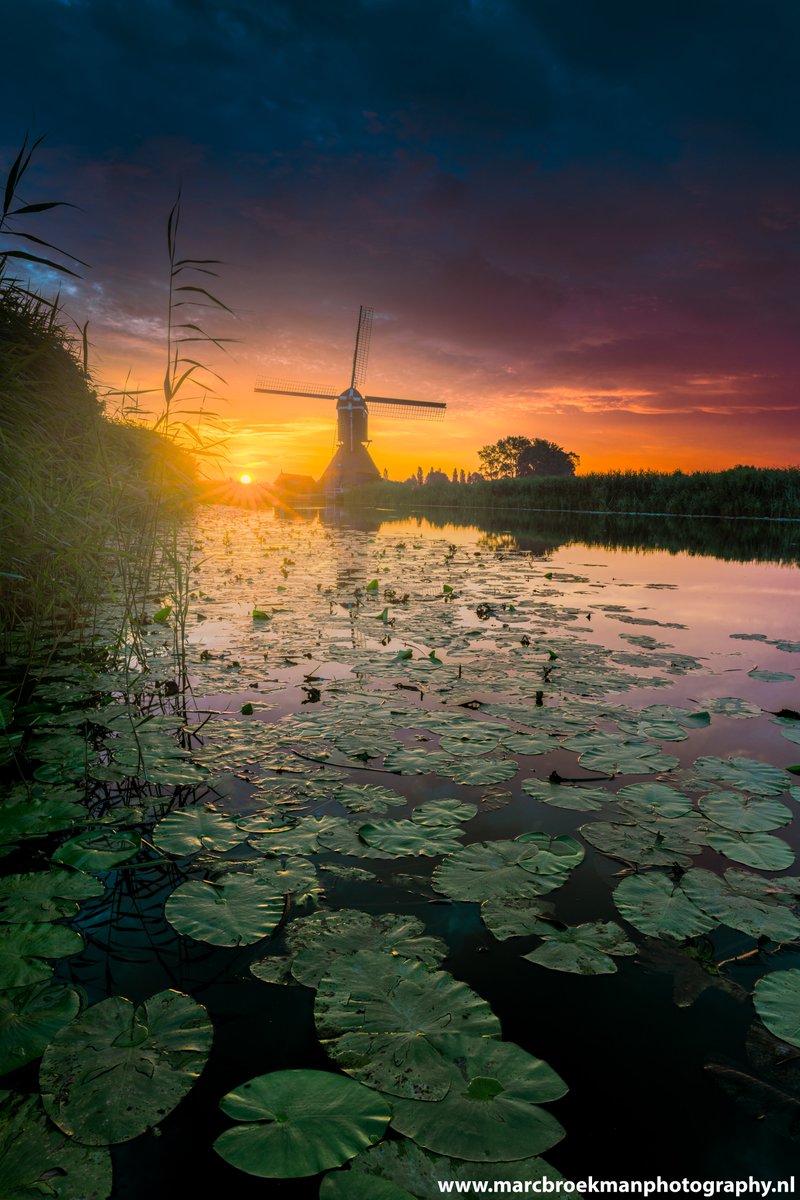 Prachtig Oudendijkse Molen ochtend foto genomen. 
#Oudendijksemolen #inlijsten <a href="/GemWoudenberg/">Gemeente Woudenberg</a>