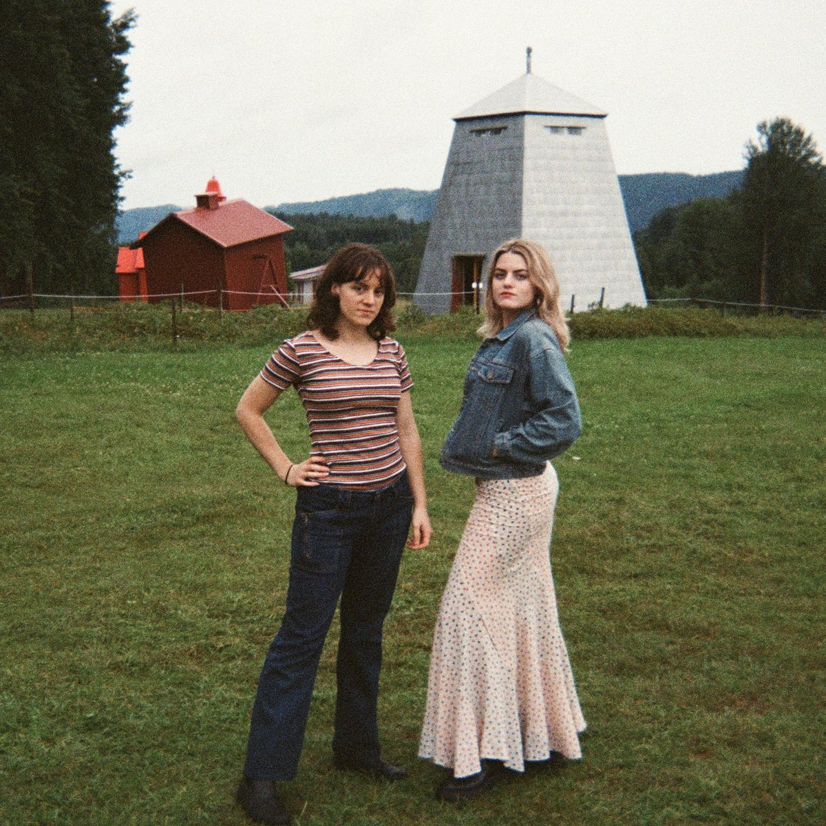 Charm of Finches tweet media