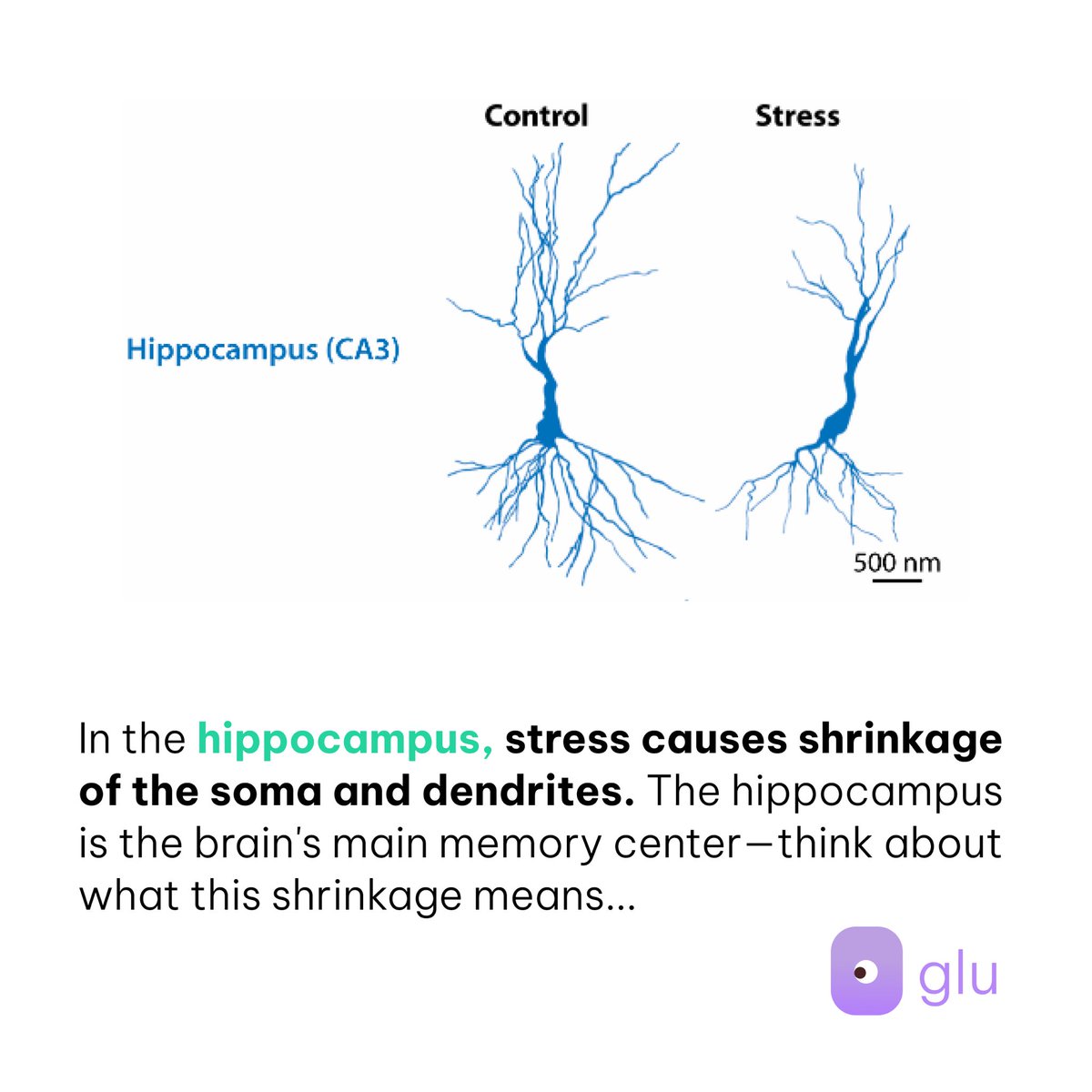 gluconnects's tweet photo. To help you self reflect, our newsletter asks you a question everyday. Join the newsletter to be a part of a community that cares about living with intention. https://t.co/7p4kKCi8Ny