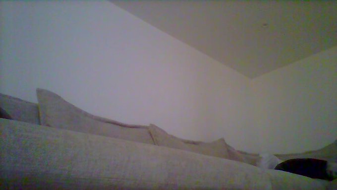 Roxi Keogh is live now! https://t.co/Syp7LgDKhC https://t.co/8TwG8G59L0