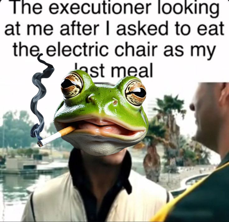 FrogsterToken's tweet photo. #memecoinonsolana #memecoin1000x #MemeCoinSeason https://t.co/SZ3E5A26mI
