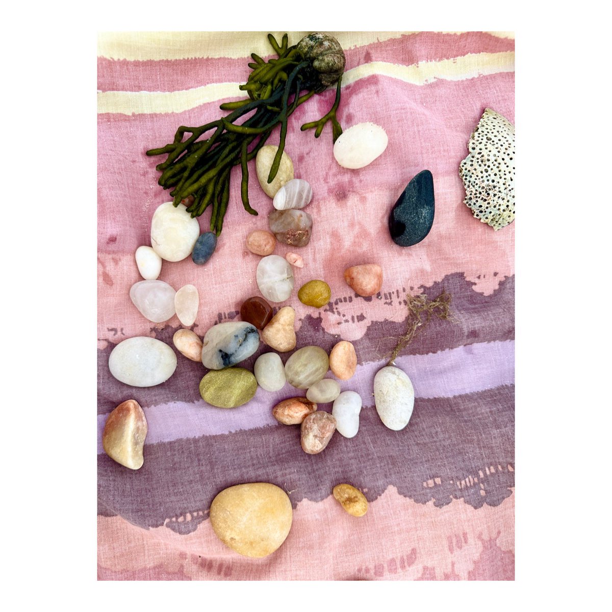 Offerings today from The Great Peconic bay