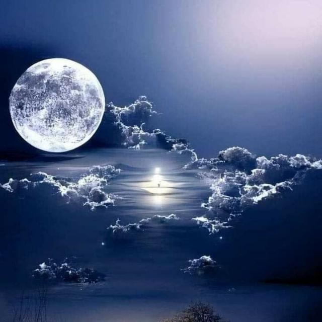 إنَّ ماتسعى إليه قد يكتبه الله لك فيسعى إليك ،  بارك الله المساعي التي تحفّها الثقة بالله والتوكل عليه ، بارك الله بالخطى التي تحركت ثقةً بقدرته ، اللهُمَّ لا تُخيّب سعينا ، واجعل لنا درباً رحيباً ، وفوزاُ عظيماً .