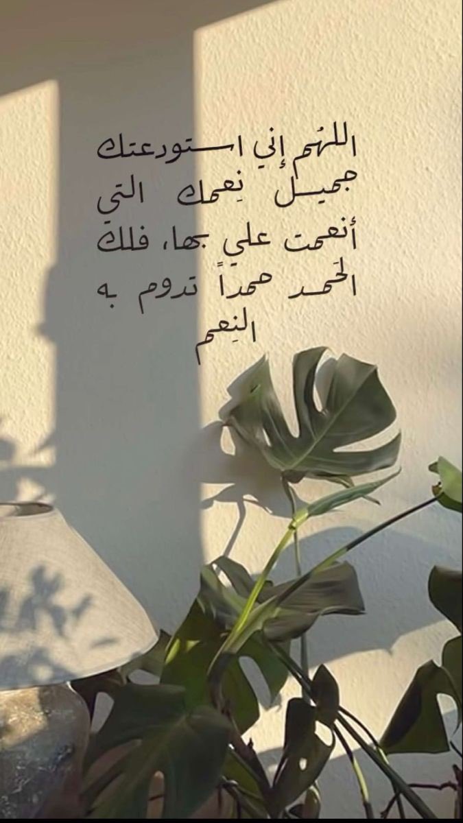 Abdullah tweet media