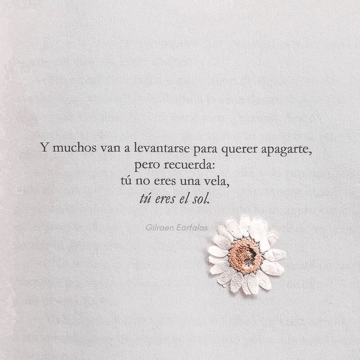 accionp0eticaes's tweet photo. 📌
tú eres el sol. https://t.co/qFzDCsuR4t