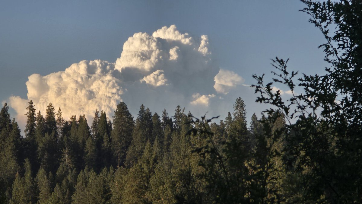 Elias_Funez's tweet image. Looks like Cal Fire air tankers 93, 95, 89 in bound at GV AA base from the #MillFire and #SmithFire in Plumas Co. Tanker 89 loaded on retardant and headed back. Mill fire sized up at almost 800 acres. #fireseason2024 #theunionnow @TheUnion Pyrocumulus visible from Grass Valley.