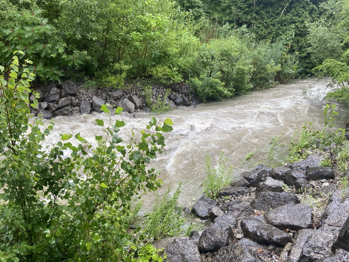 Friends of the Rouge tweet media