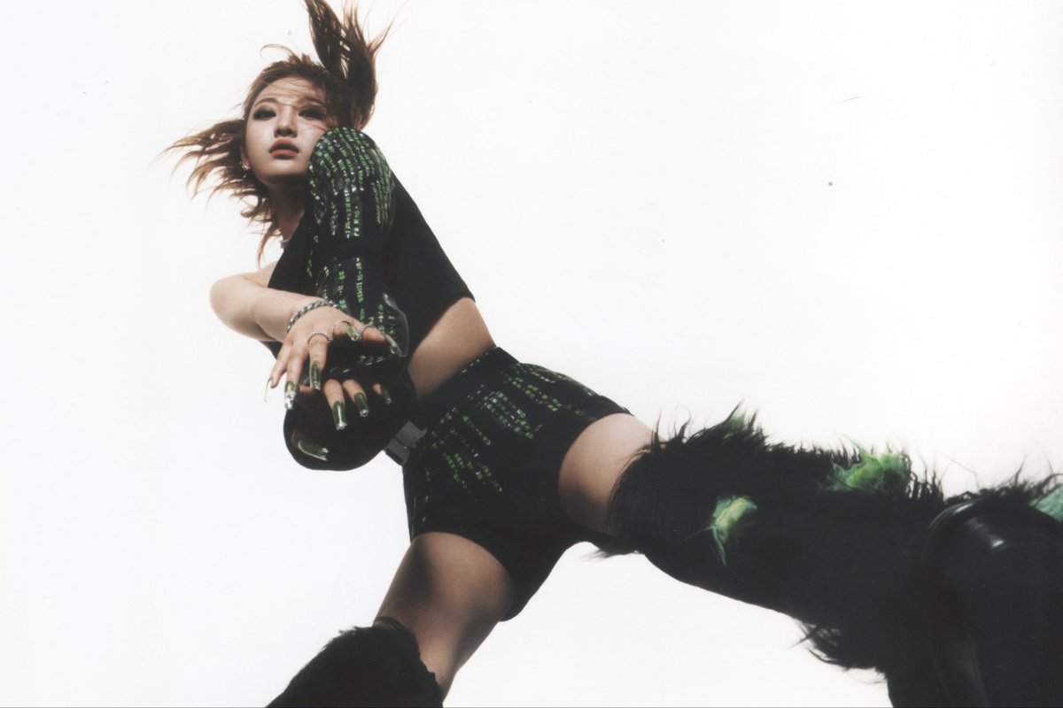 xin (CLOSED) tweet media