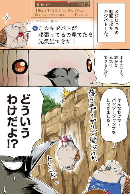 チャレンジするキジバトくん【1/2】