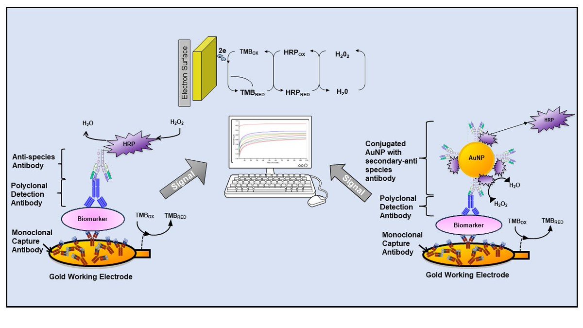Biosensors_MDPI's tweet image. #Article
Development of Electrochemical Immunosensors for HER-1 and HER-2 Analysis in Serum for Breast Cancer Patients
by Ibtisam E. Tothill et al.
mdpi.com/2079-6374/13/3…
@CranfieldUni
@MDPIOpenAccess
@ChemMatSci_MDPI
 
#Electrochemical #Immunosensors #Cancer #biosensors