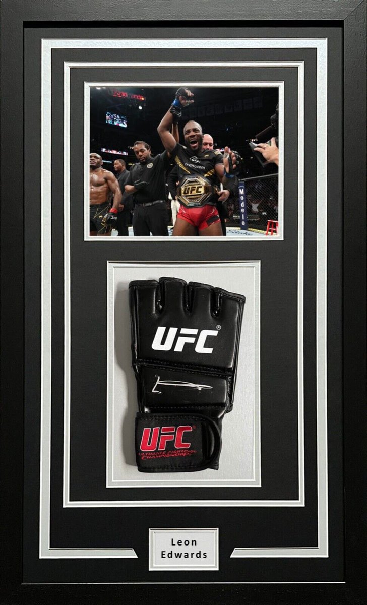 Paulocoster tweet media