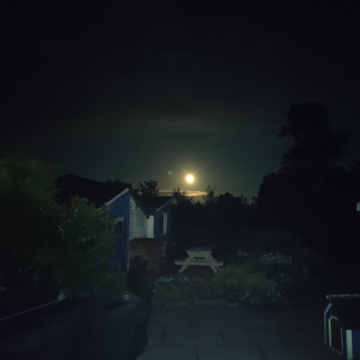 Crikey O'Reilly, what a moon 🏆