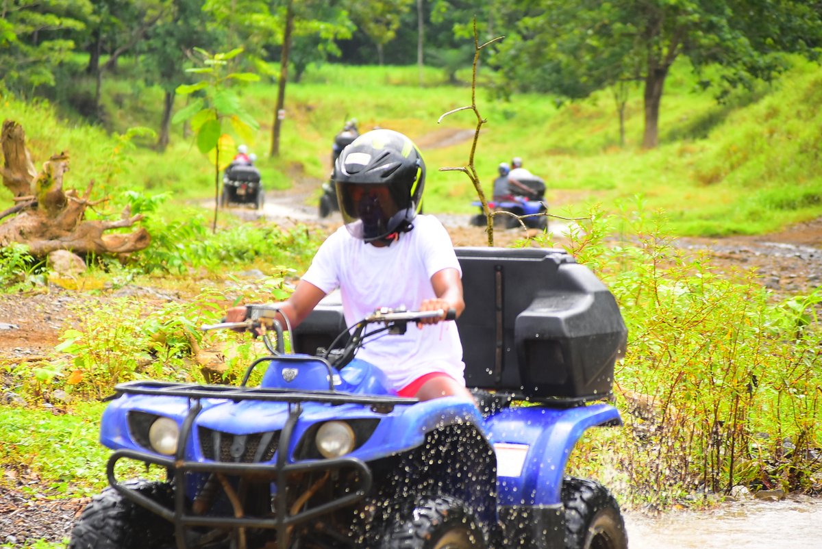 Troy Women’s Basketball tweet media