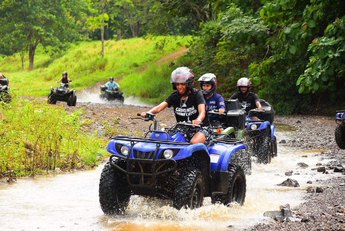 Troy Women’s Basketball tweet media