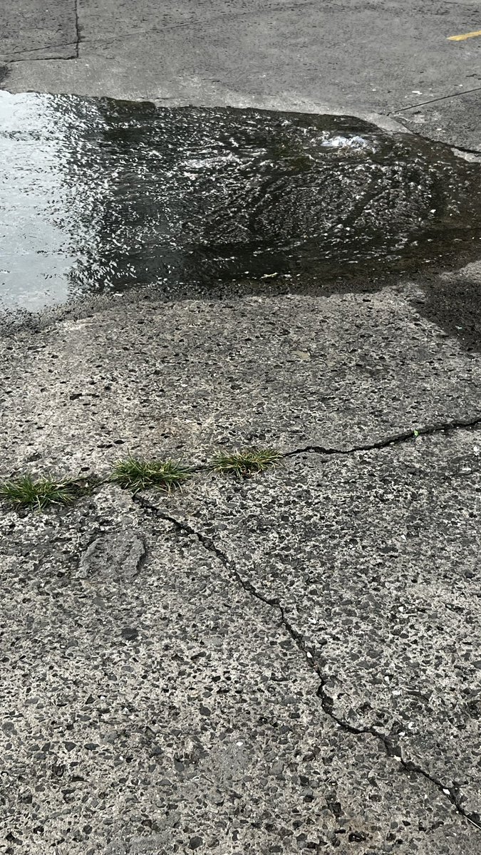 En plena Ave balboa está pasando esto hace años, <a href="/Mayer/">Mayer Mizrachi</a> agua negras ósea pupu saliendo en plena vía y turista caminando… estoy se puede solucionar