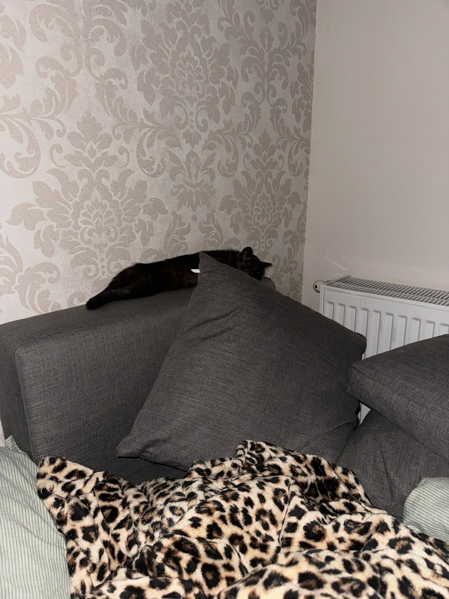 édes kisbabám ki van nyúlva
❤️❤️❤️❤️❤️❤️
olyan jó, hogy van ő nekem