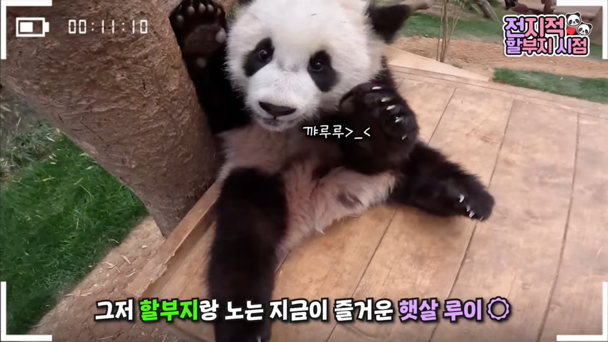 Ketchup_bao tweet media