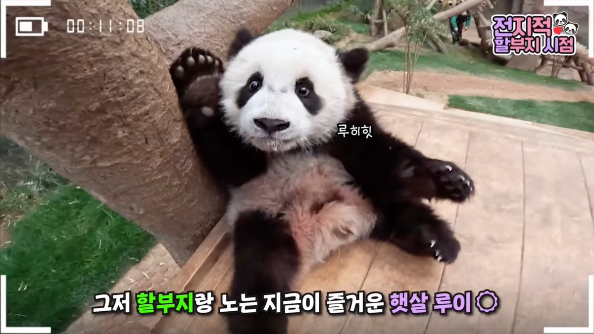 Ketchup_bao tweet media