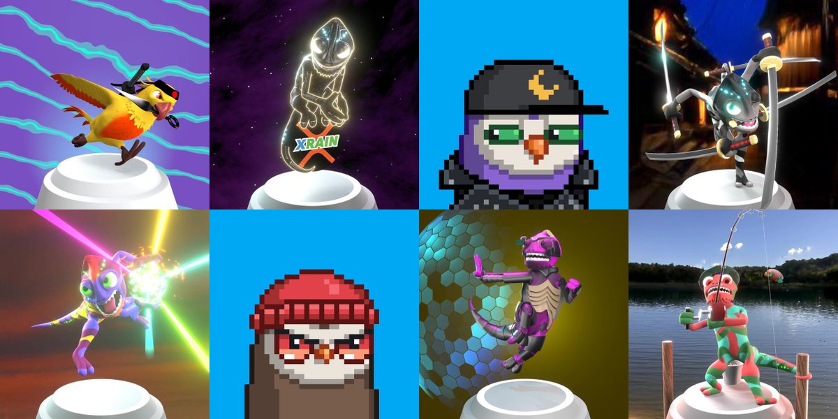 XparrotsNFT's tweet image. Congrats winners of today’s #XRPLRainforest battle royale!! 🦜🦉🦎👊🏼🔥

Join us every Monday  at 6pm eastern!! 

Open Discord #Supportticket to claim your prizes!!