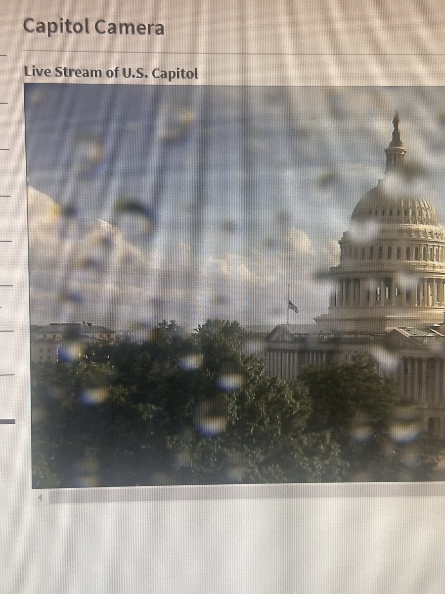 Ricechrisw's tweet photo. Anyone else wondering why the flag at the US Capitol is at half mast today? #ProofOfLife #WhereIsJoeBiden https://t.co/vHyzrszKE6