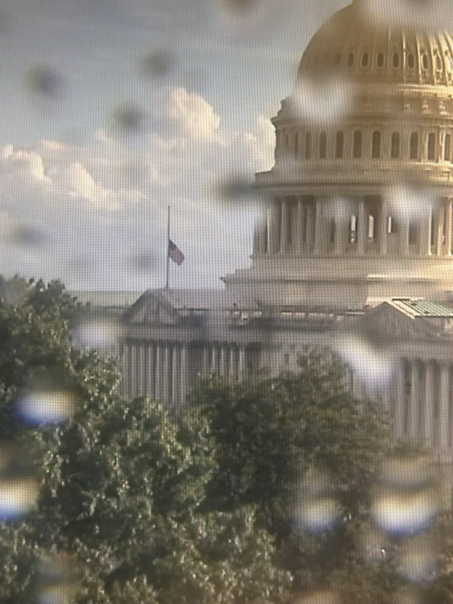 Ricechrisw's tweet photo. Anyone else wondering why the flag at the US Capitol is at half mast today? #ProofOfLife #WhereIsJoeBiden https://t.co/vHyzrszKE6