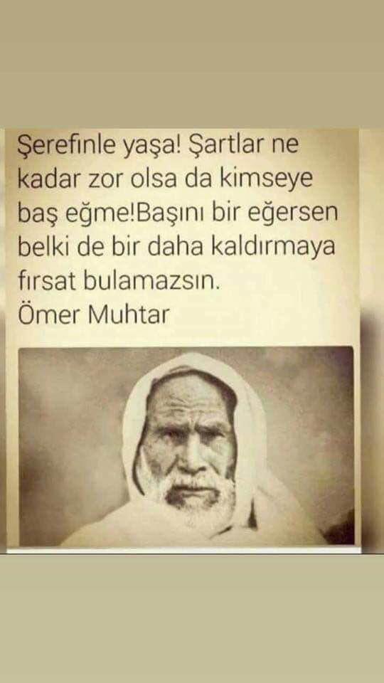 fatihseyhanoglu's tweet photo. https://t.co/W85EjwS5NL