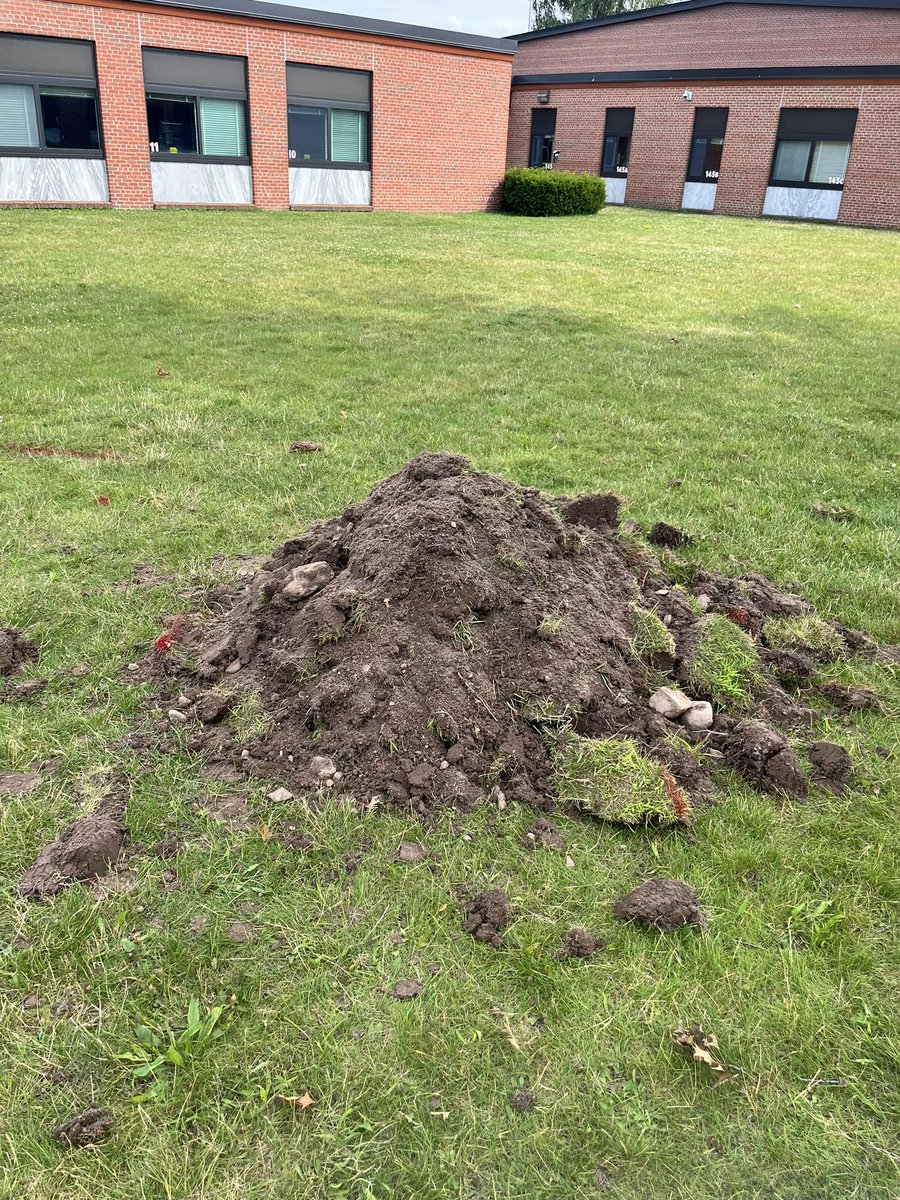 The HS greenhouse build is making great progress.!  Thanks to Aidan, Zack,  Anthony, Sawyer, and Rich for braving the heat and getting us started.  

All windows, doors, and foundation are built along with the starter trench to secure the foundation.

Next up…..the walls!!!