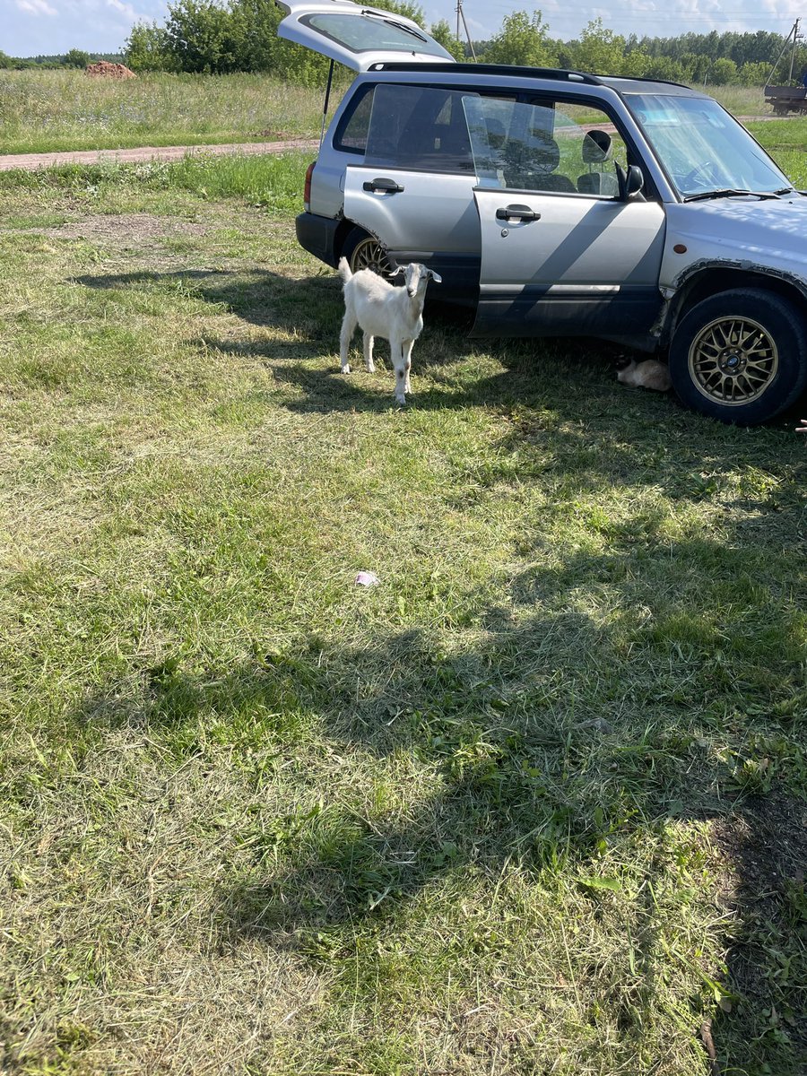 oks18's tweet image. Приходил козел