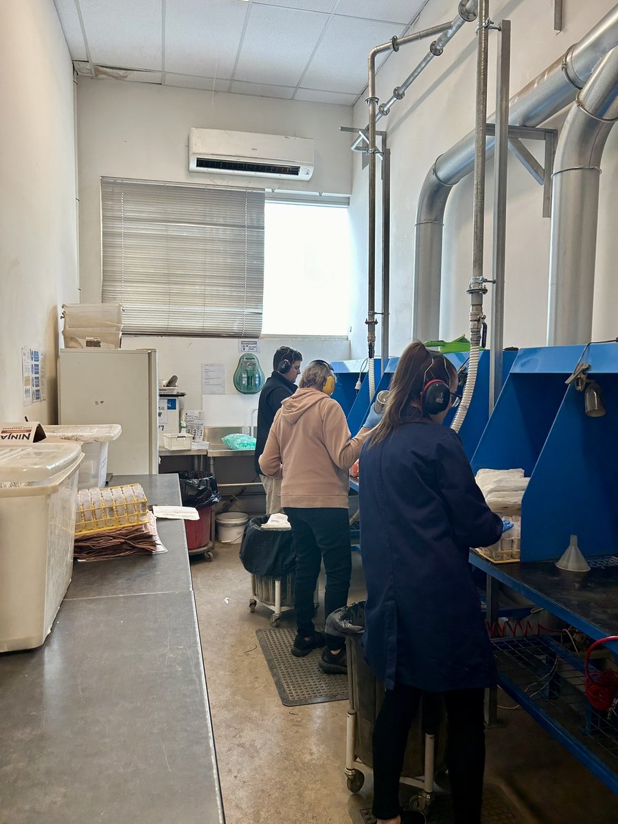 EurofinsApal's tweet image. With plant season coming up, it’s all hands on deck grinding plant samples at Eurofins APAL! 🌾🌱

#agriculture #plantsampling #agtesting