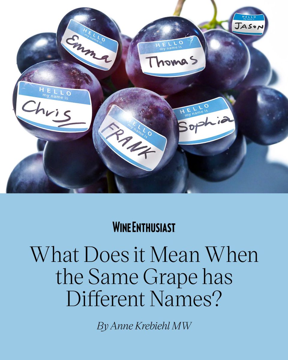 WineEnthusiast's tweet image. How much does a grape's name influence your wine choice? 🤔🍇

To learn more about what influences a grape's name, click here 🔗 enth.to/3zPjfqL