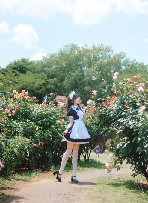 コスプレイヤー猫田あしゅのTwitter画像5