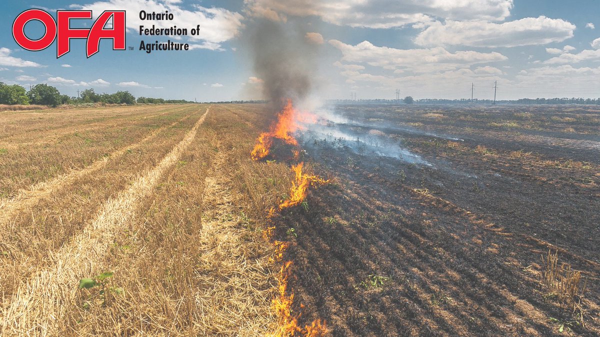 OntarioFarms's tweet image. 🚨Reduce your risk of a field 🔥 by:
- Keeping machinery clean &amp;amp; free of residue.
- Making sure equipment is maintained.
- 👀 coolant &amp;amp; oil levels.
- 👀 for hot spots at the end of each day.
- Ensuring fire extinguishers are readily available on equipment.
oafc.on.ca/public-safety/…