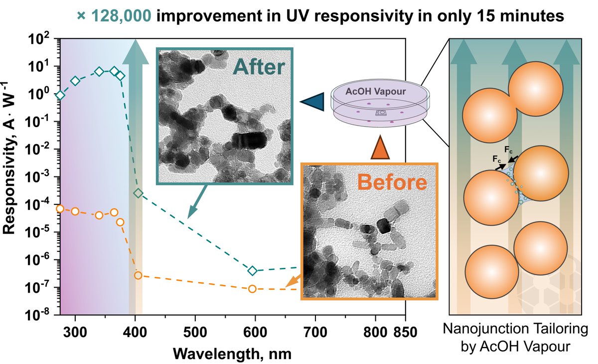 Hot off the press: in this work, we introduced a groundbreaking room-temperature, capillary-force-driven methodology to enhance interfacial nanojunctions and nanoparticle cohesion. 🎊 🎉 🥂 Read the full article here: onlinelibrary.wiley.com/doi/10.1002/sm…