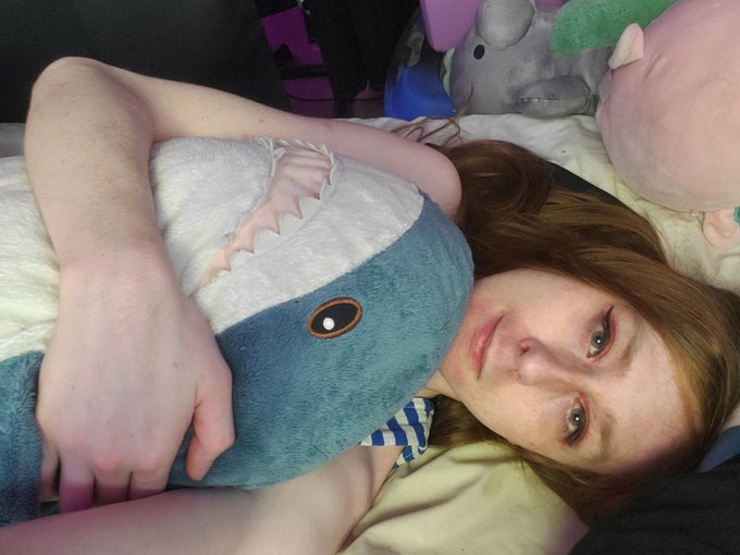 Currently melting into a puddle because of this heat but at least i have blahaj https://t.co/Rvxs1sS<a href="/tag/newprofilepic"class="tags"><span>#newprofilepic</span></a>